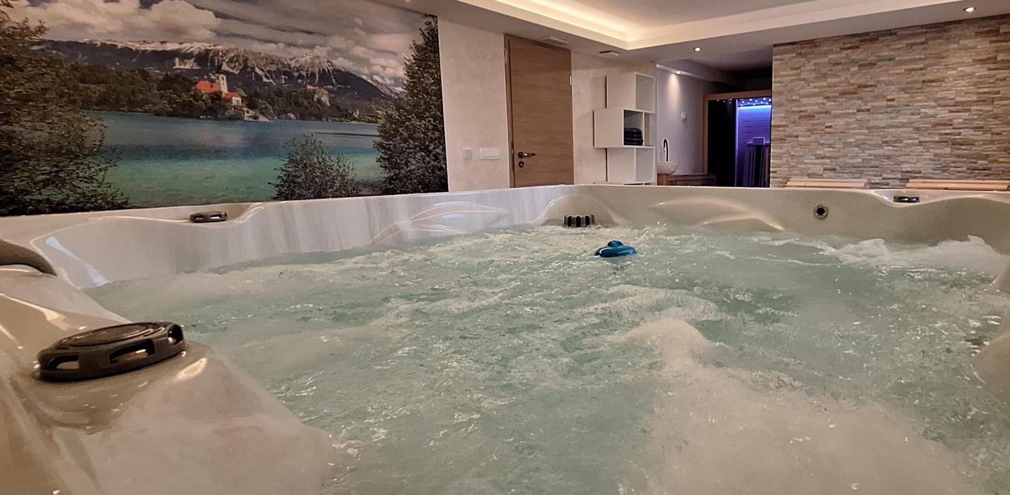 Apartment Petek Блед Екстер'єр фото